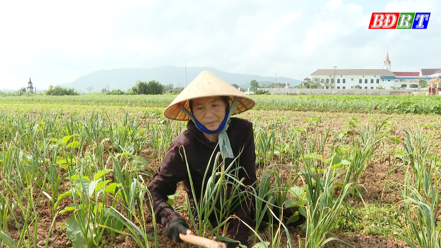 Người cao tuổi thị xã Ba Đồn chăm lo phát triển kinh tế, nâng cao thu nhập cho gia đình.