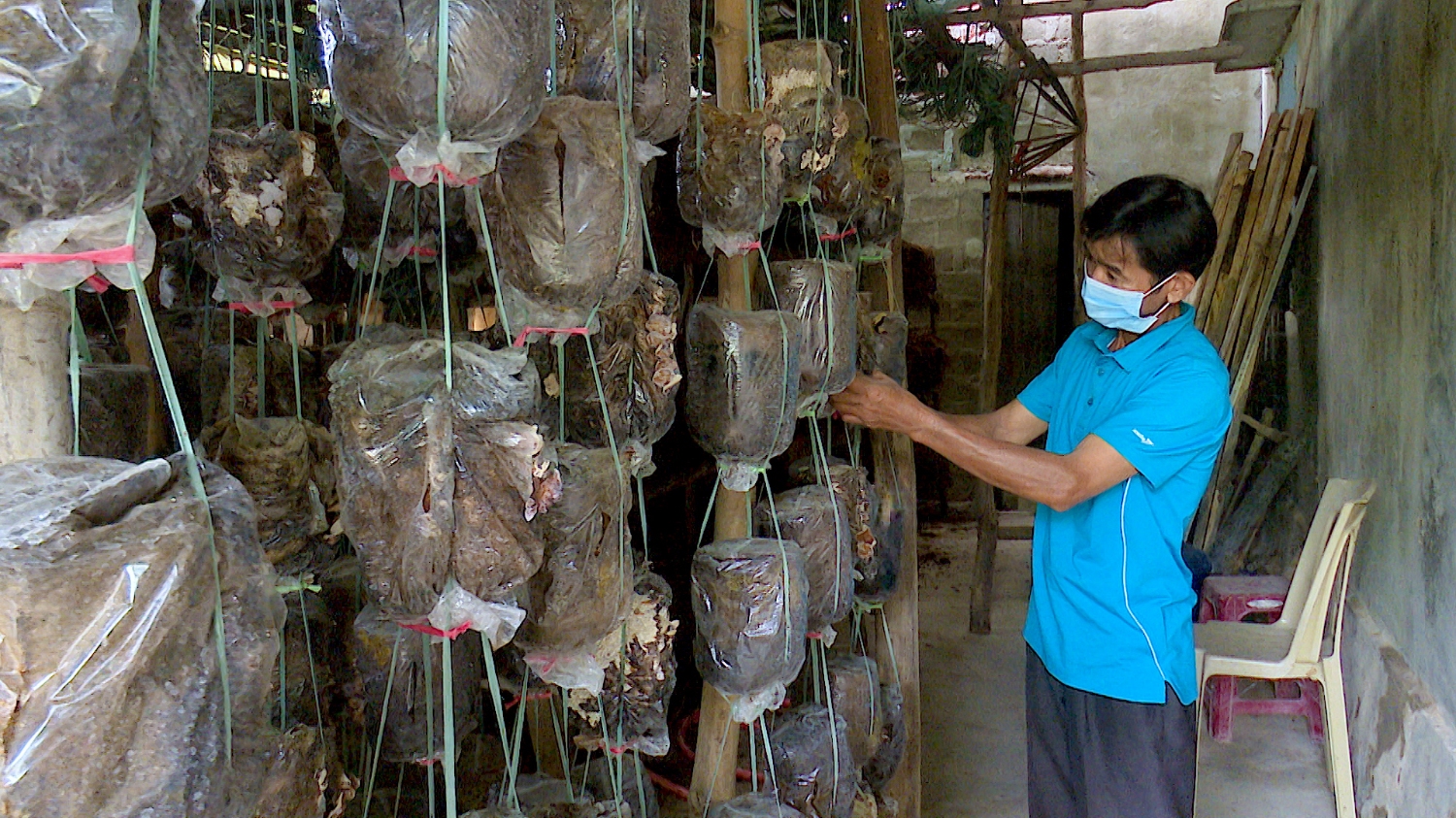 Mô hình trồng nấm đem lại thu nhập cao tại xã Quảng Thủy.