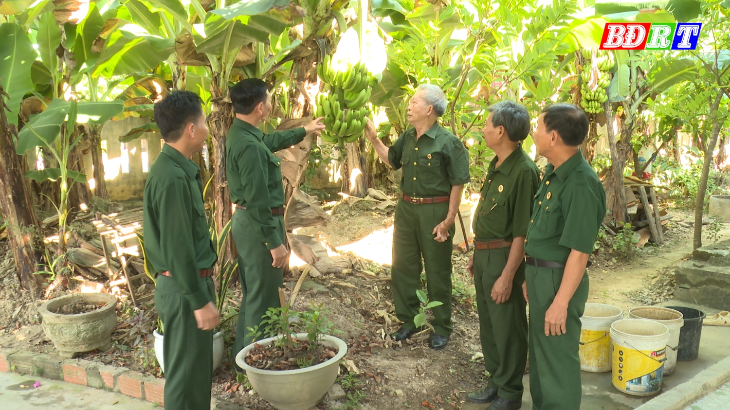 Nhiều hội viên CCB thị xã Ba Đồn đã tiếp cận các nguồn vốn vay, vươn lên làm giàu chính đáng