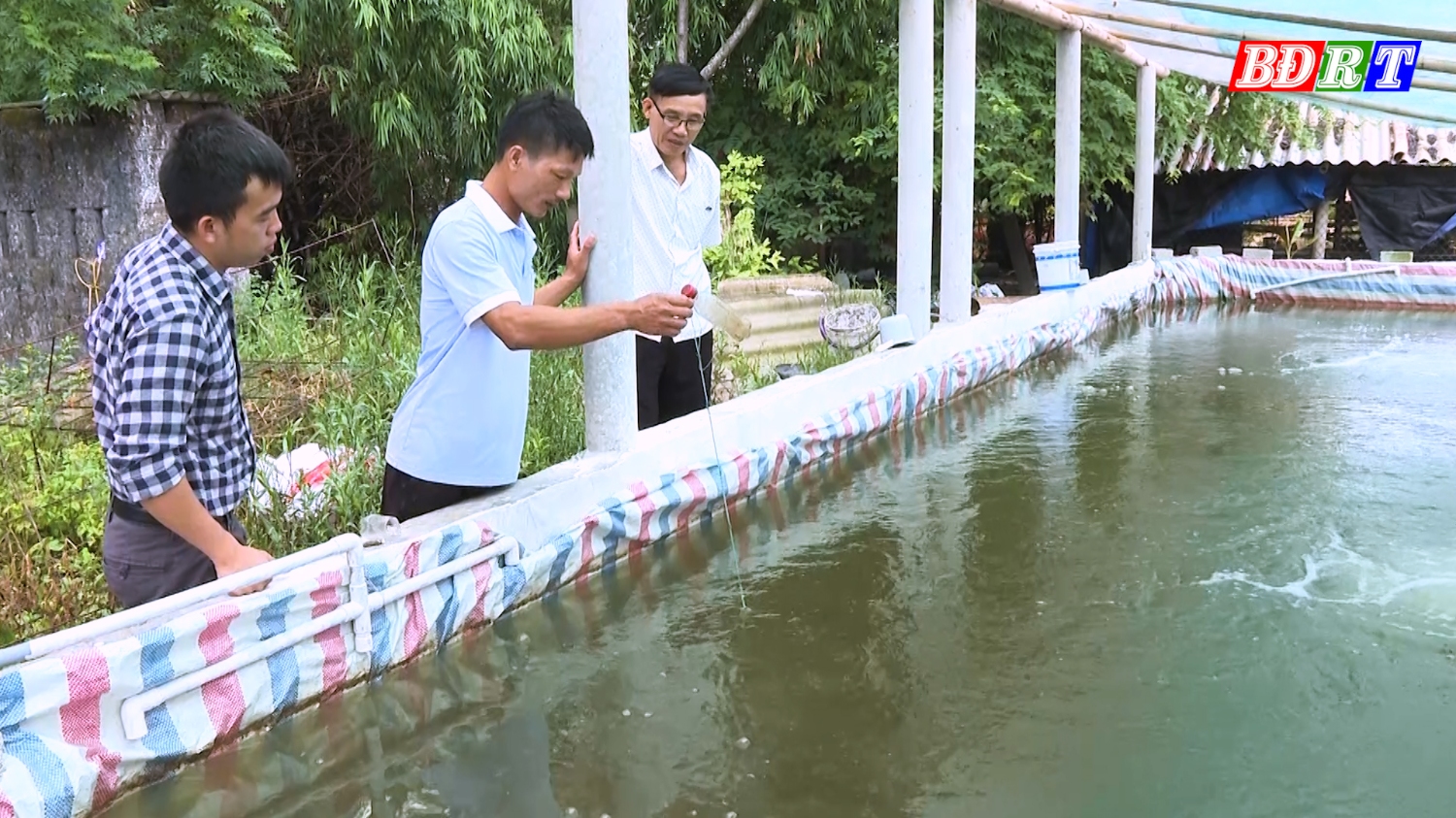 Nông dân thị xã Ba Đồn mạnh dạn vay vốn, phát triển sản xuất