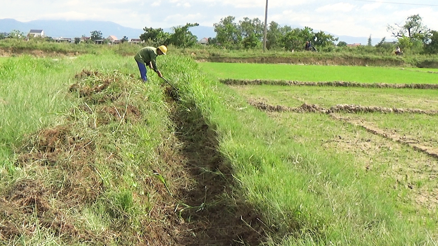 Nông dân xã Quảng Lộc, thị xã Ba Đồn tích cực nạo vét kênh mương để dẫn nước đảm bảo nước tưới cho diện tích lúa (1)