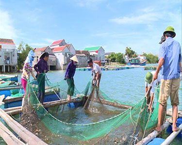 Xã Quảng Minh đẩy mạnh nuôi trồng và đánh bắt thủy sản.