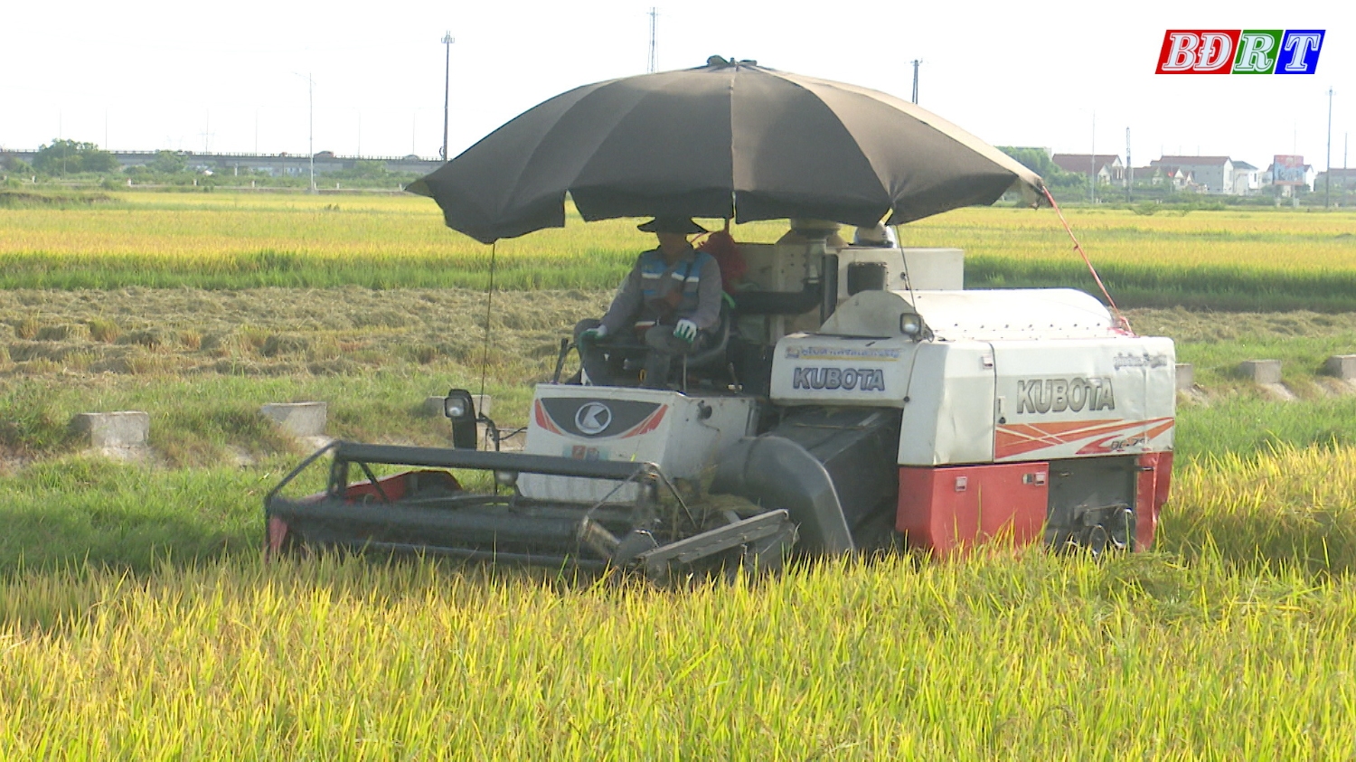 Sử dụng cơ giới hóa trong sản xuất nhằm tăng năng suất.