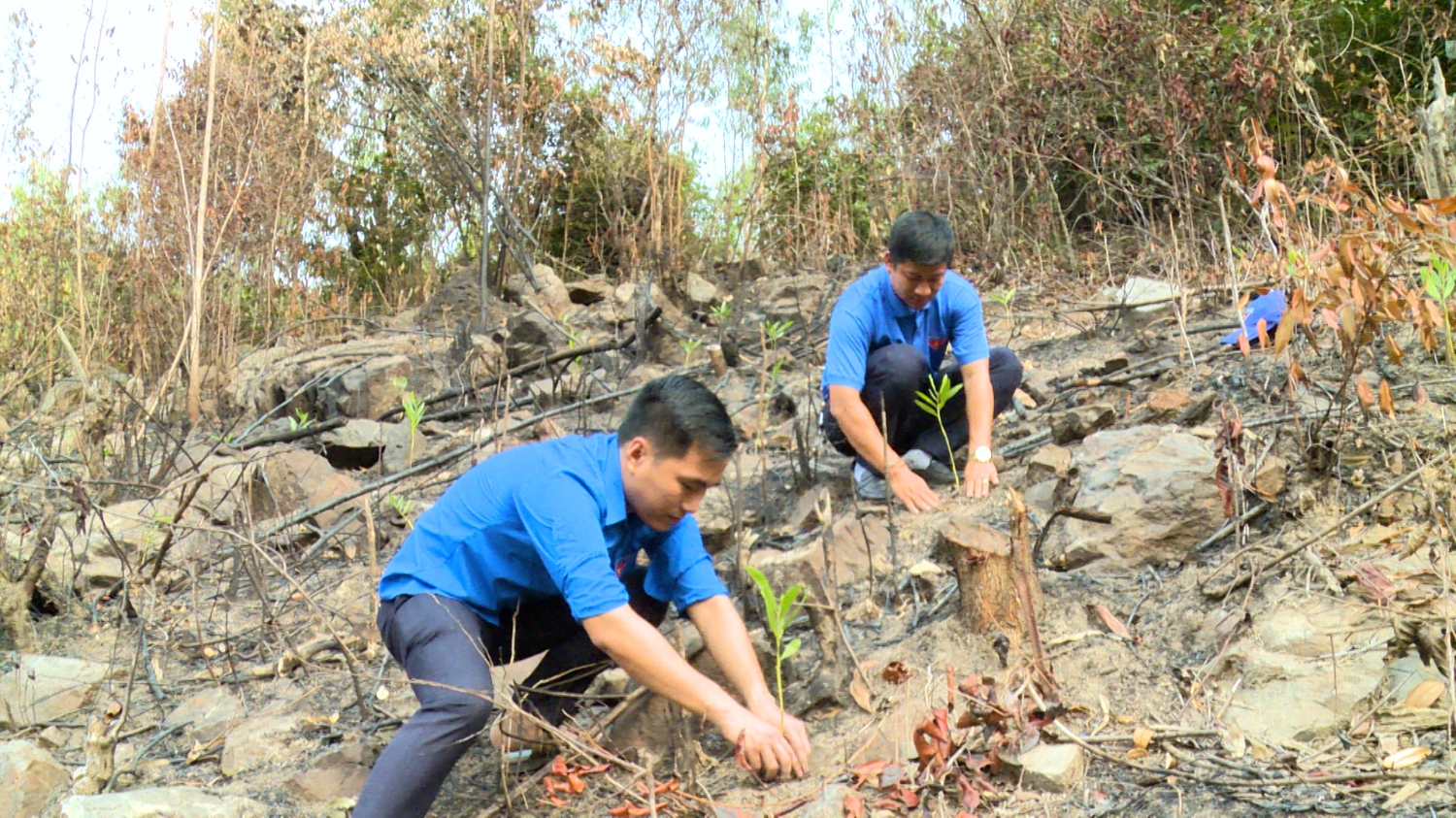 Hội Liên hiệp thanh niên Việt Nam thị xã Ba Đồn triển khai phong trào “Tôi yêu Tổ quốc tôi”