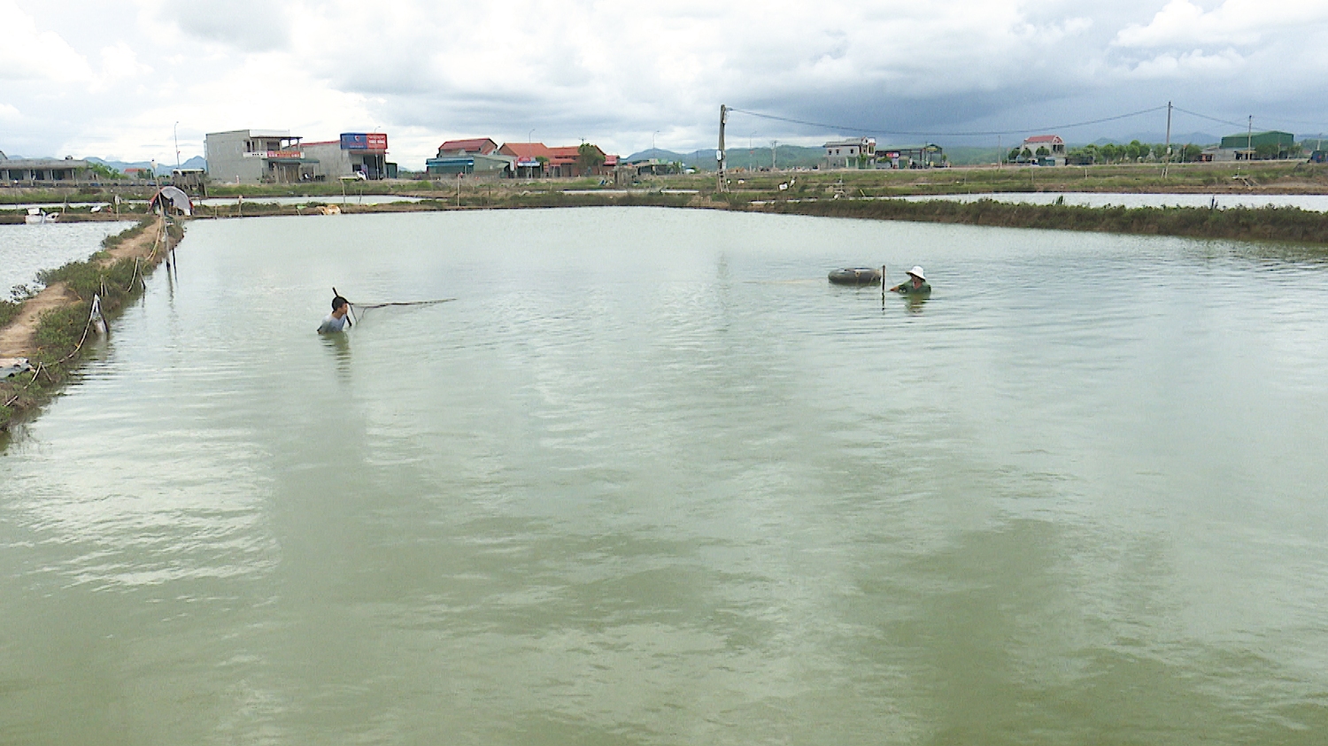 Thị xã Ba Đồn đã thực hiện nhiều chính sách hỗ trợ các hộ nuôi trồng thủy sản