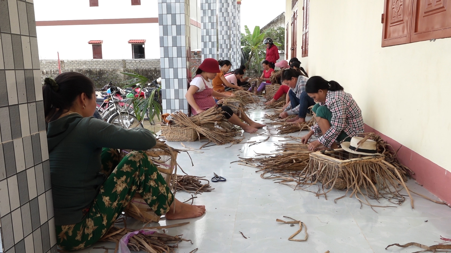 Tăng thu nhập, tạo việc làm từ cây bèo lục bình.