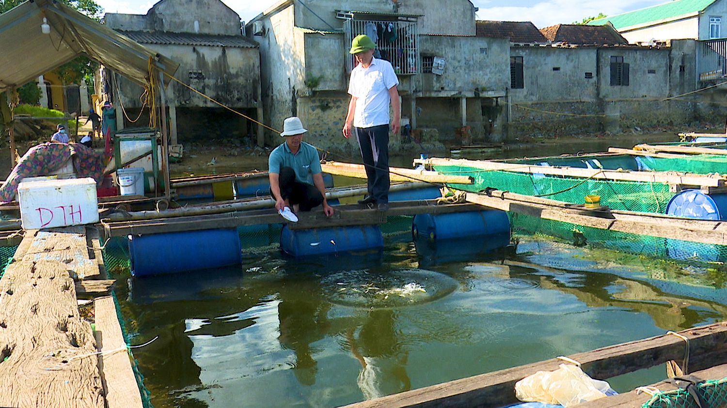 Xã Quảng Minh khuyến khích các hộ có điều kiện mở rộng diện tích, mô hình nuôi cá lồng trên sông